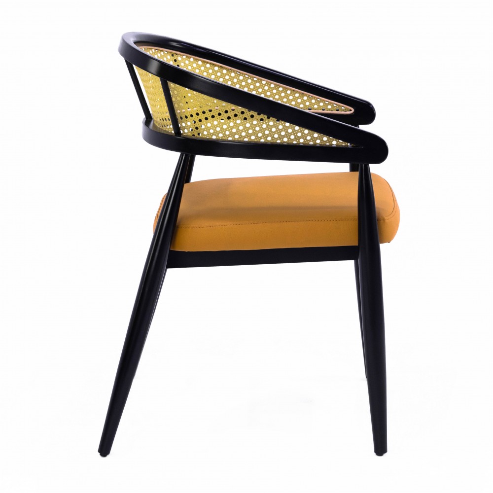 Hazeran Sırt Kollu Sandalye - Görsel 2