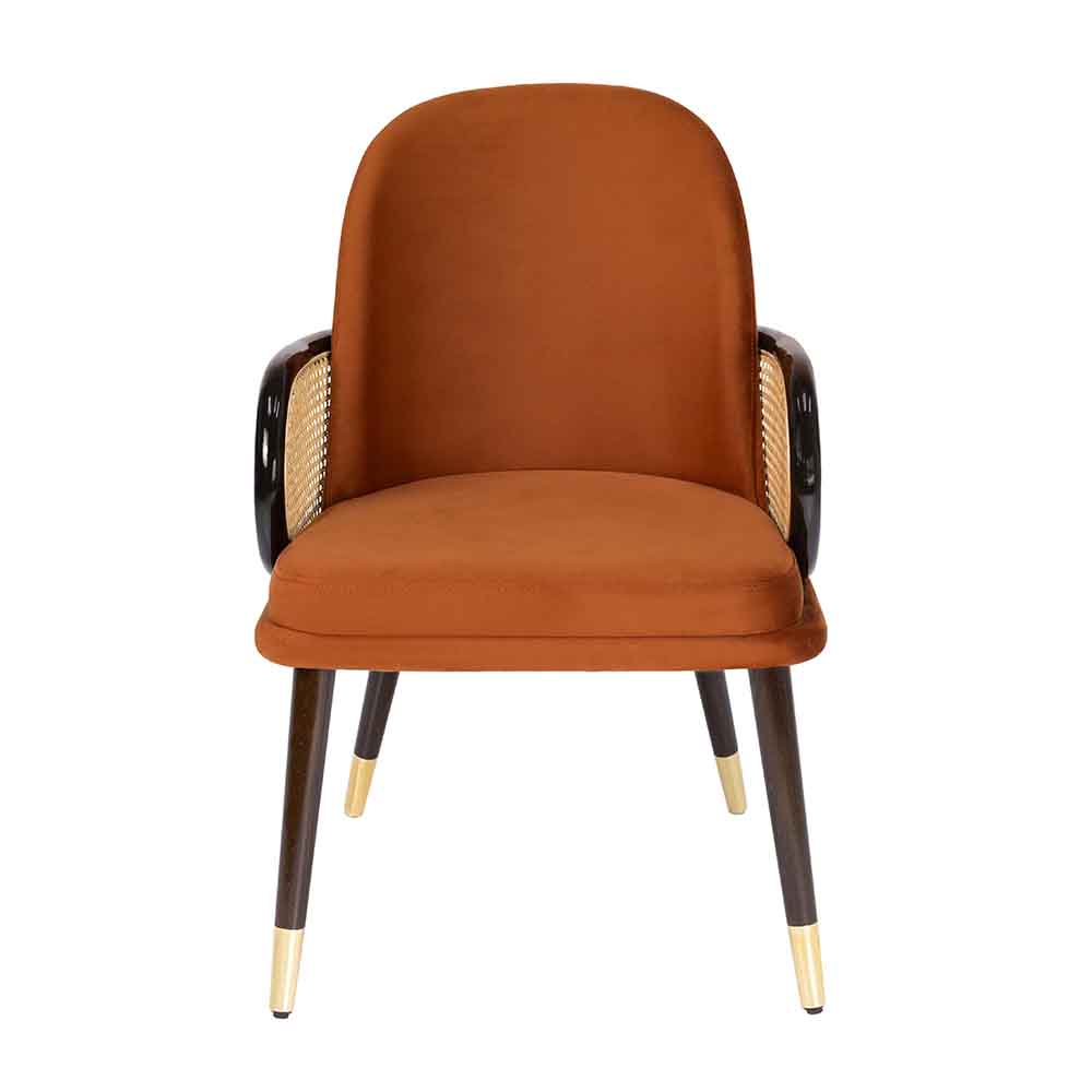 Lora Hazeran Detaylı Deri Sandalye