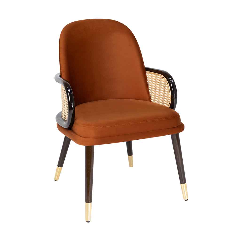 Lora Hazeran Detaylı Deri Sandalye